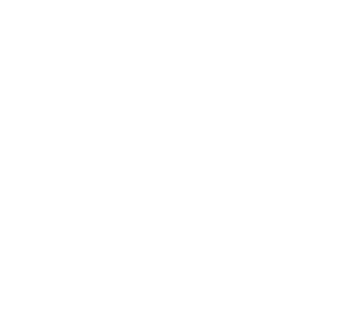 logo-image